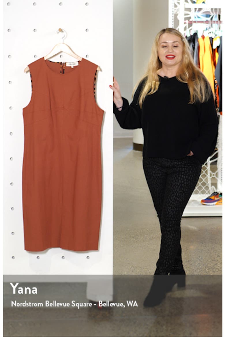 Elio Sheath Dress video