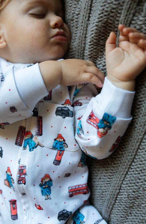L'ovedbaby London Paddington Organic Cotton Zip Romper In London Paddington