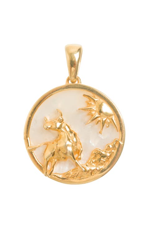 Zodiac Pendant