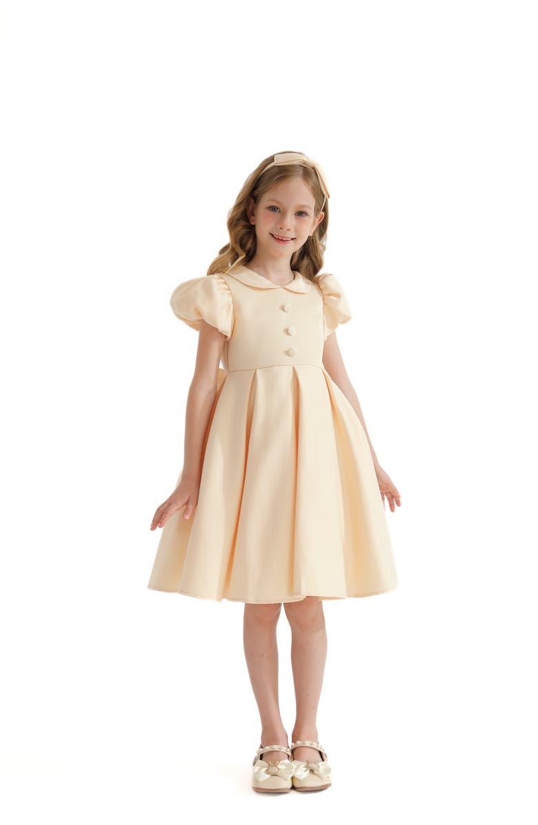 Tulleen Barrymore Dress, Main, color, Champagne
