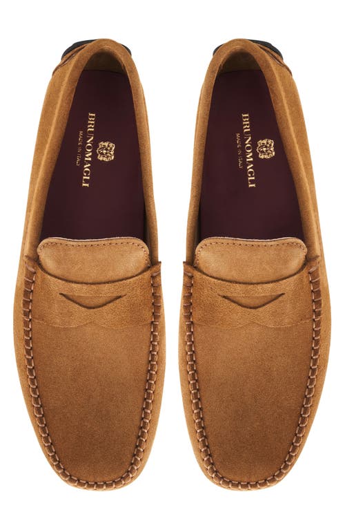 Bruno Magli Taranto Penny Loafer In Cognac Suede
