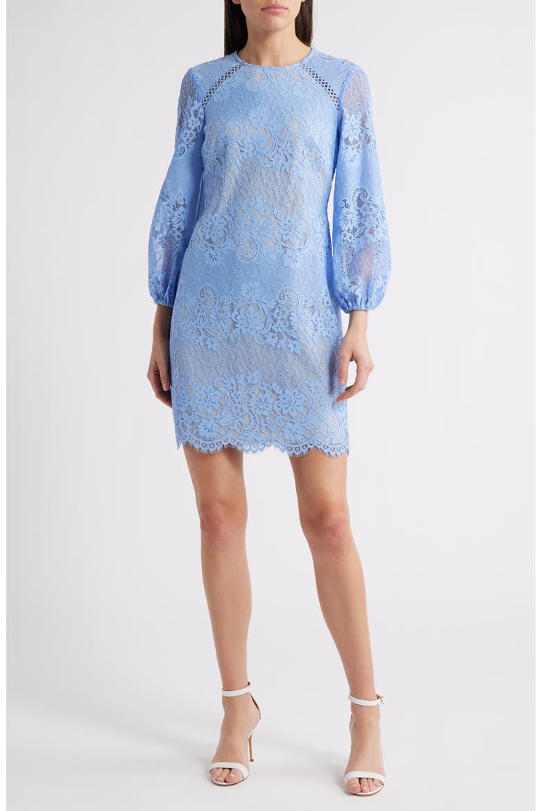 navy lace shift dress with sleeves Jessica London Stretch Lace Shift Dress