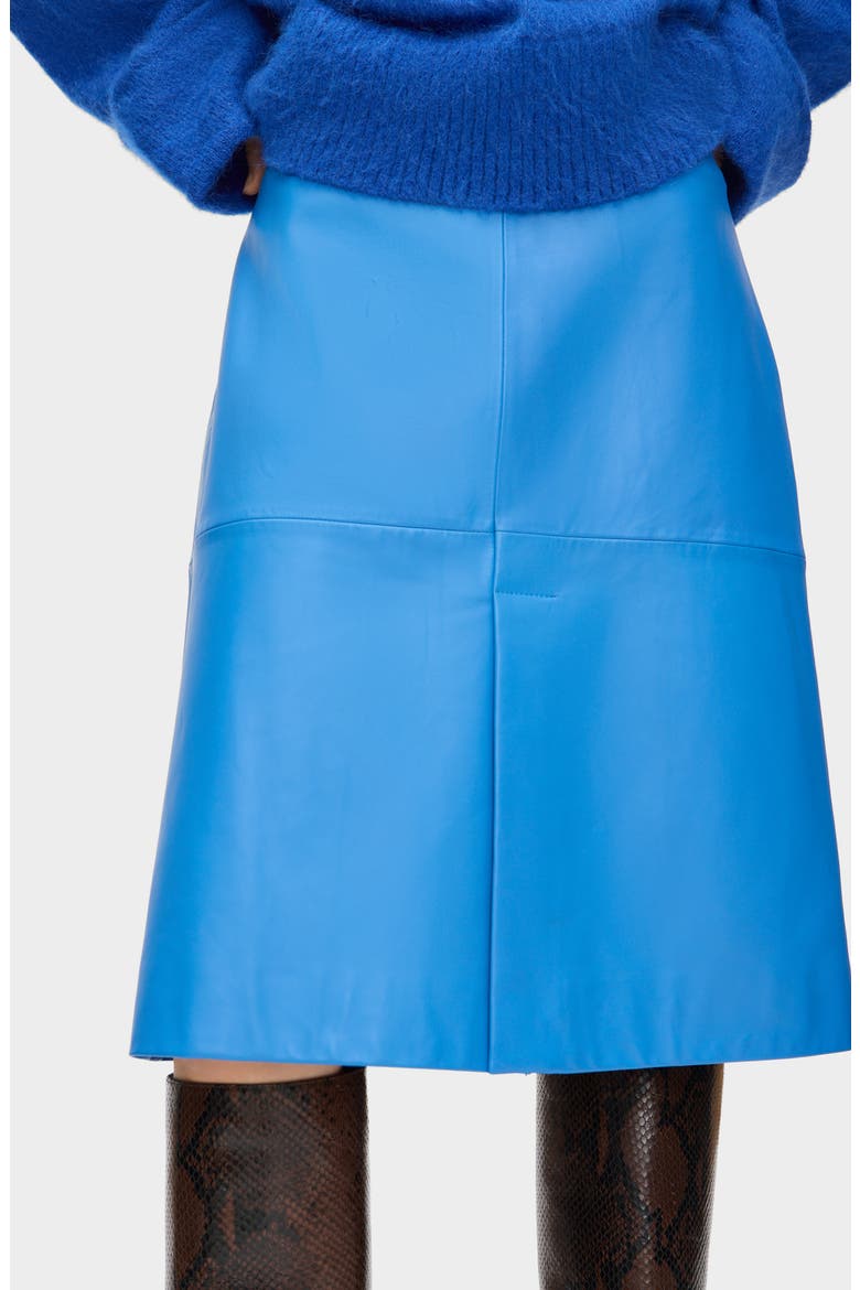 Olwen Leather Skirt, Alternate, color, BLUE