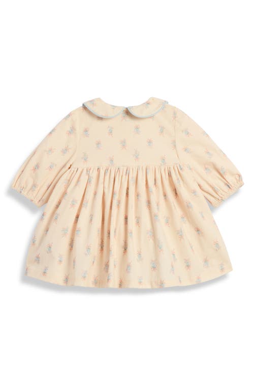 Pippa & Julie Audrey Floral Corduroy Dress & Bloomers In Multi