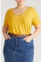  Goldenrod Yellow