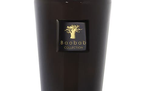 Baobab Collection Encre De Chine Reed Diffuser In Encre De Chine