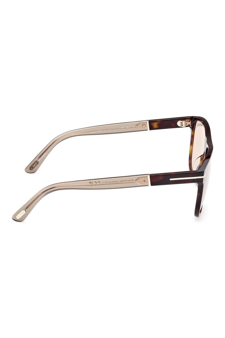 Frances 58mm Square Sunglasses, Alternate, color, DARK HAVANA / BROWN