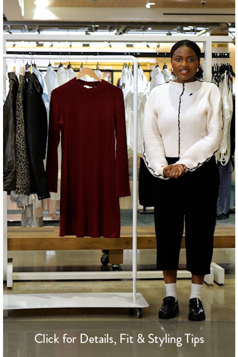 Cozy Rib Mock Neck Dress video