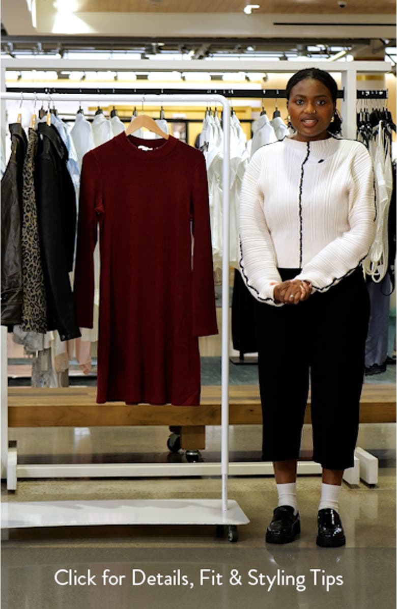 Cozy Rib Mock Neck Dress, sales video thumbnail