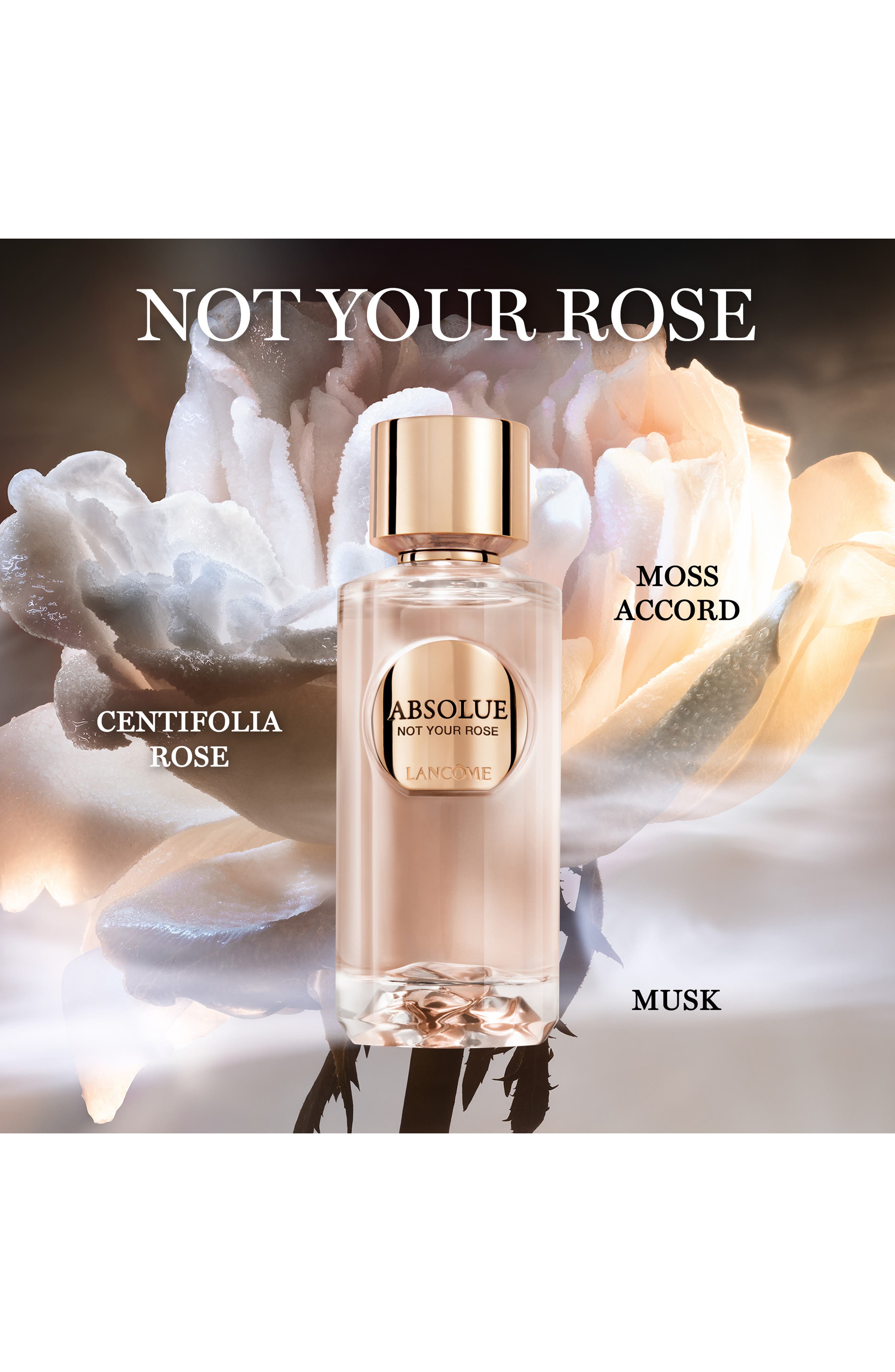 香水(女性用) LANCOME ABSOLUE NOT YOUR ROSE 100ml Lancôme Absolue Not Your Rose Eau de Parfum (Women) | Nordstrom