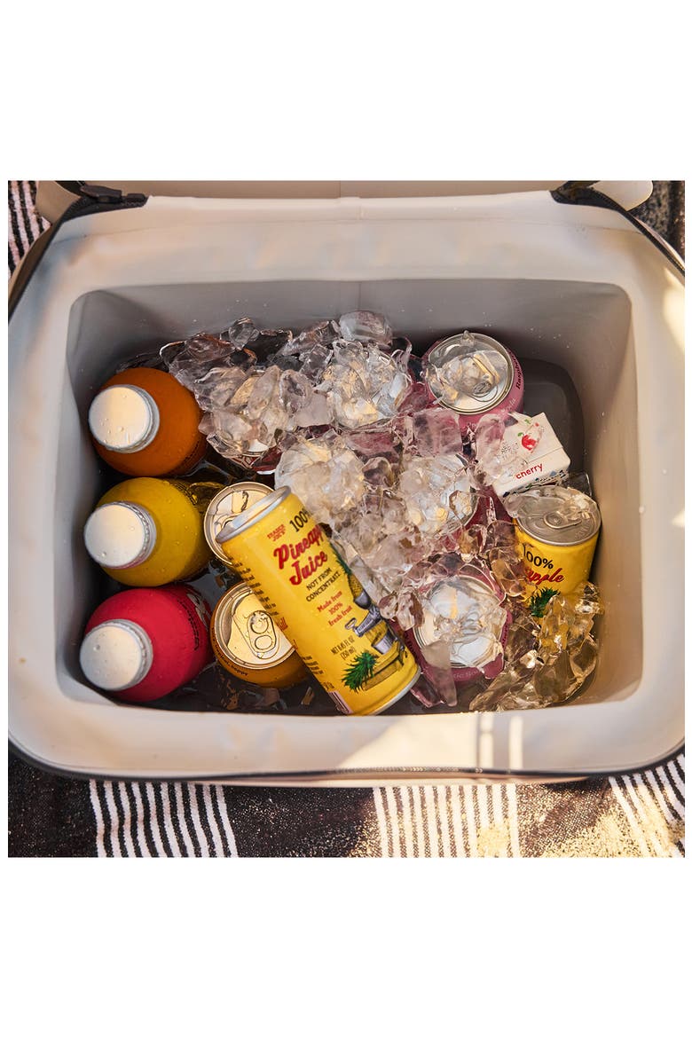 Day 18-Liter Cooler, Alternate, color, BROWN MICA