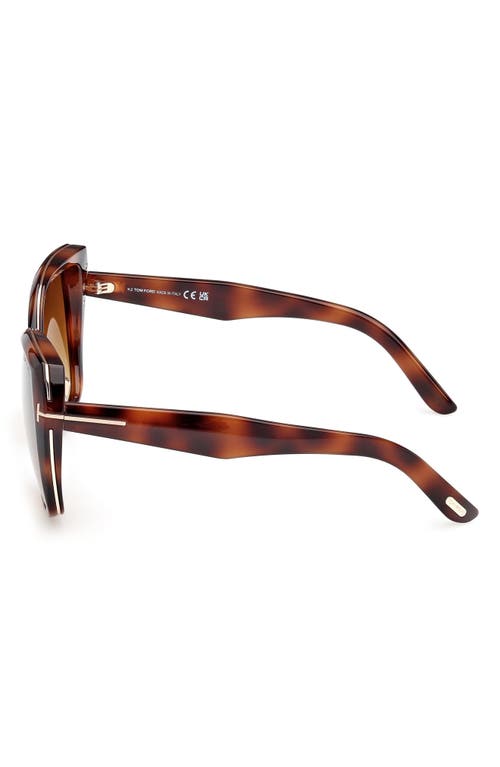 Tom Ford Plum 58mm Gradient Butterfly Sunglasses In Brown