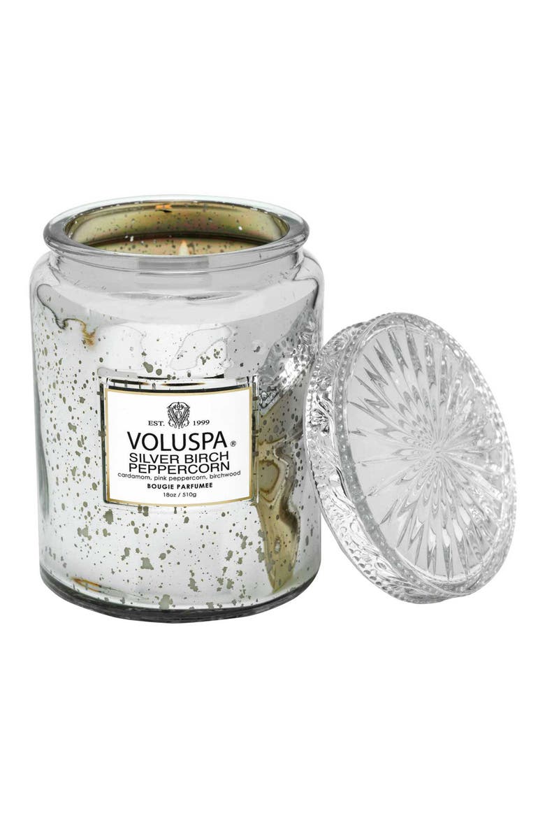 Silver Birch & Peppercorn Large Jar Candle, Alternate, color, SILVER BIRCH