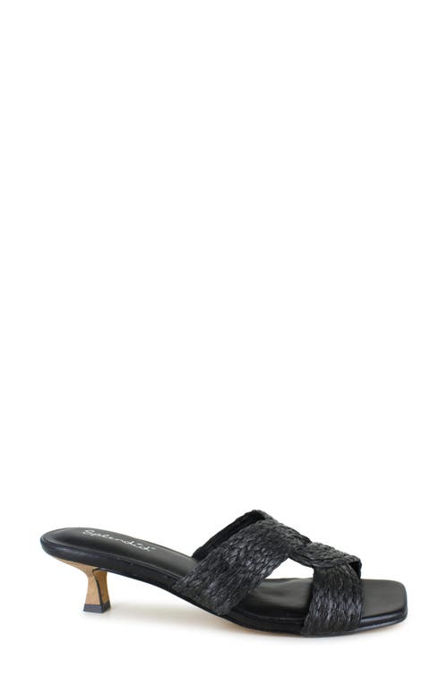 Splendid Hunter Kitten Heel Sandal In Black