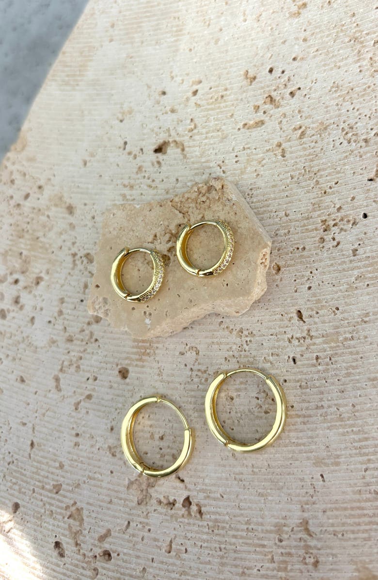 Adornia 2-Pack Assorted Hoop Earrings, Alternate, color,