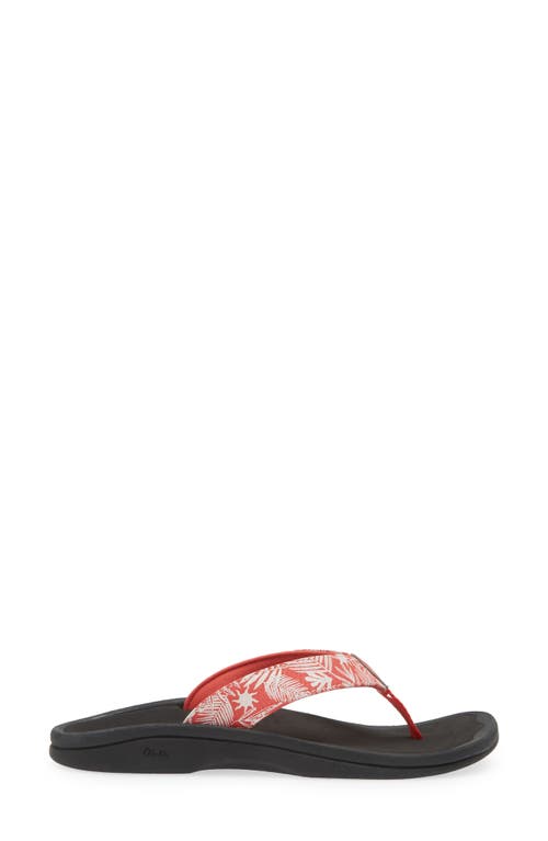 Olukai Ohana Flip Flop In Multi