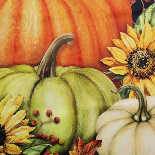 Northlight Pumpkins And Sunflowers Hello Autumn Outdoor Fall Harvest House Flag In Black