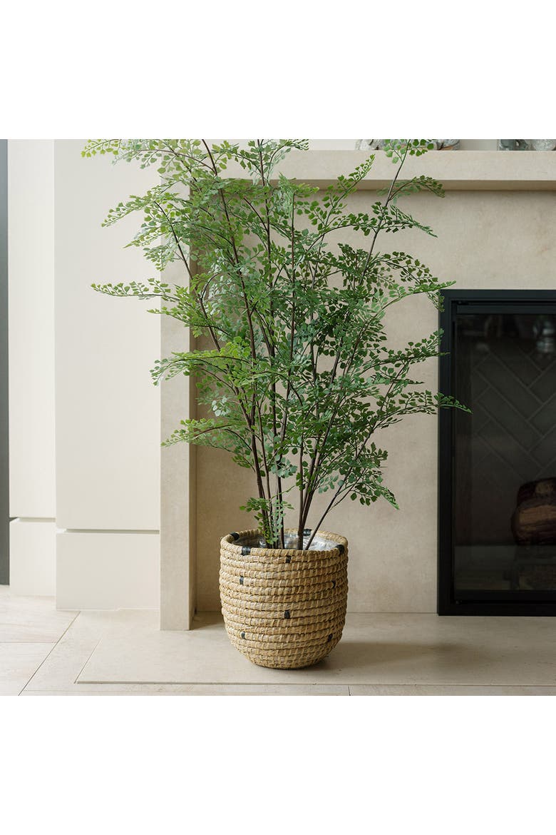 Faux Maidenhair Fern, Alternate, color, Green