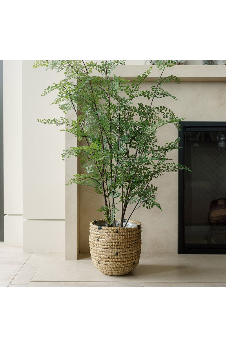 CG Hunter Faux Maidenhair Fern, Alternate, color, Green