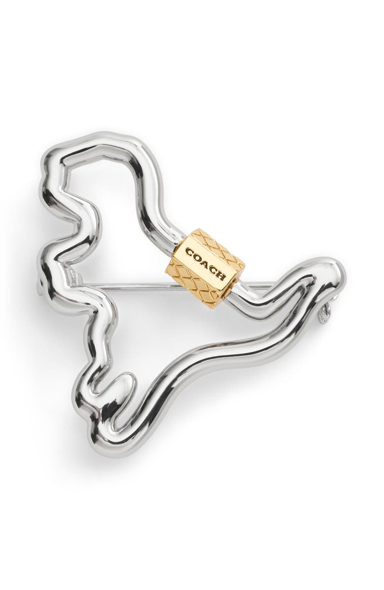 COACH Carabiner Rexy Brooch, Main, color, 