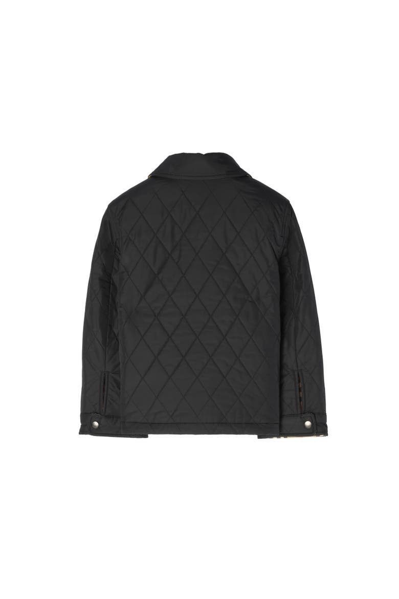 Reversible Quilted Nylon Jacket, Alternate, color, Black