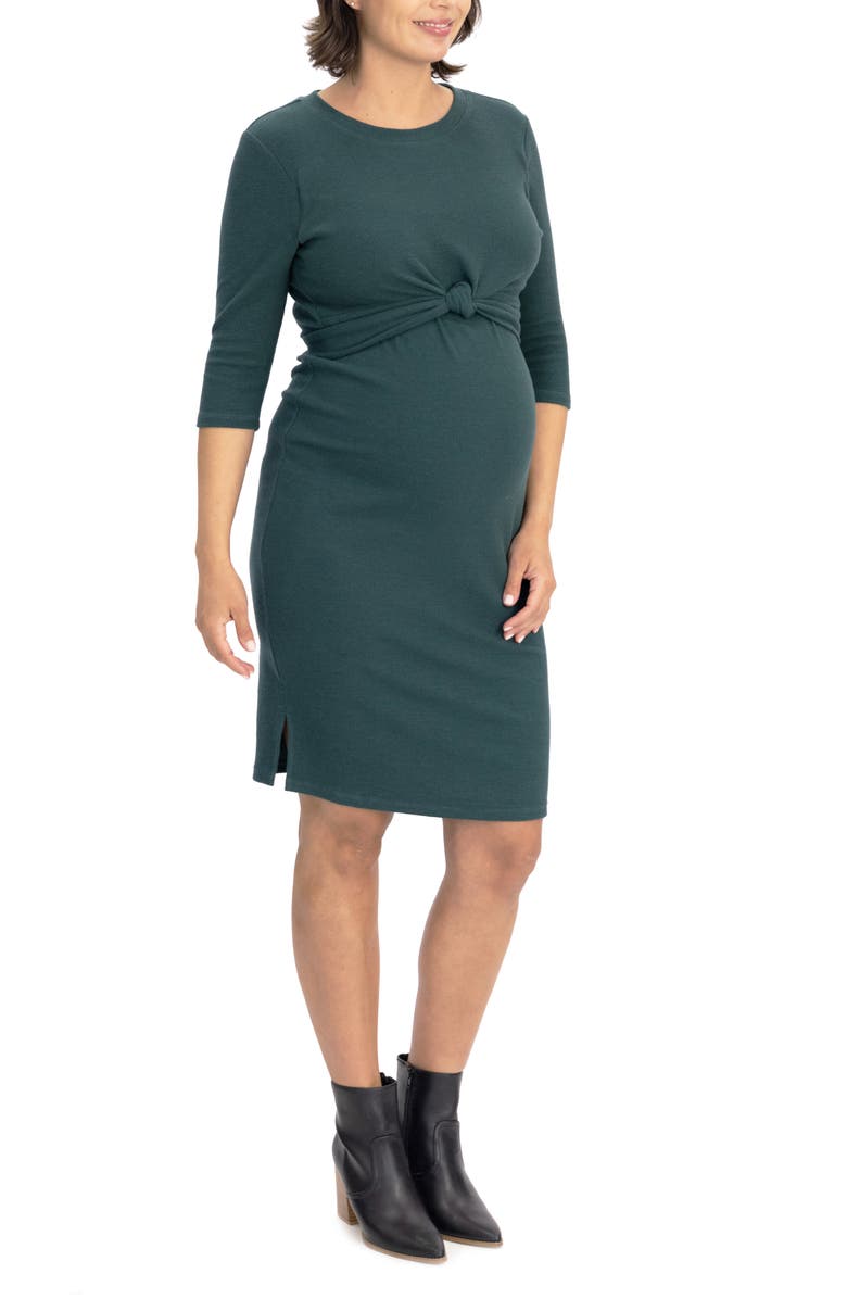 Angel Maternity Tie Waist Maternity/Nursing Dress, Alternate, color, 