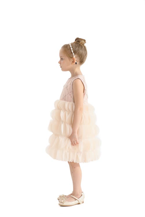 Tulleen Dionne Dress In Pink