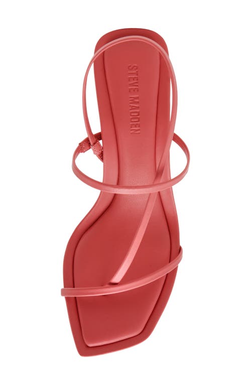 Steve Madden Lock Sandal In Coral