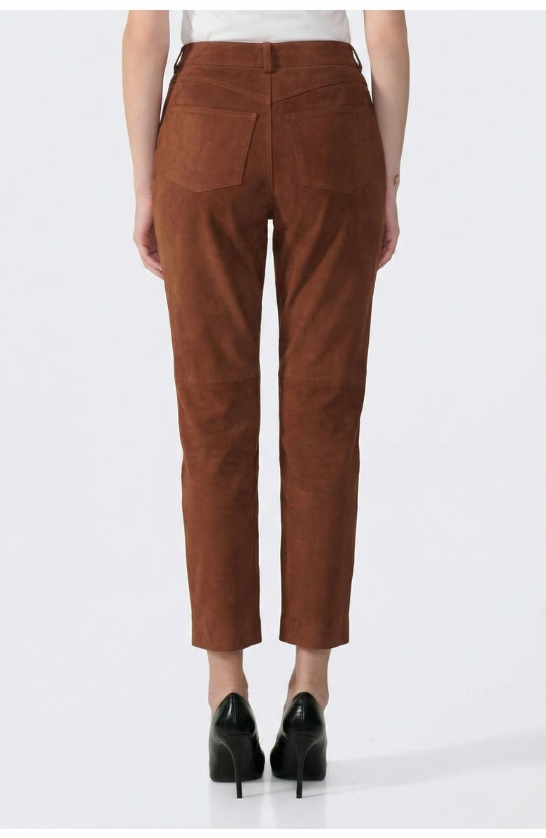 FURNIQ UK Suede Trousers, Alternate, color, Chestnut