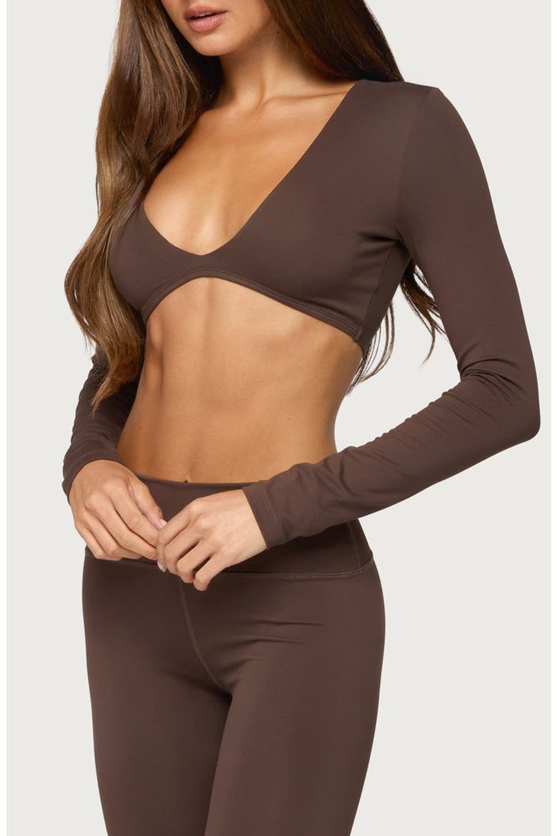 Faery Long Sleeve Crop Top, Alternate, color, BROWN