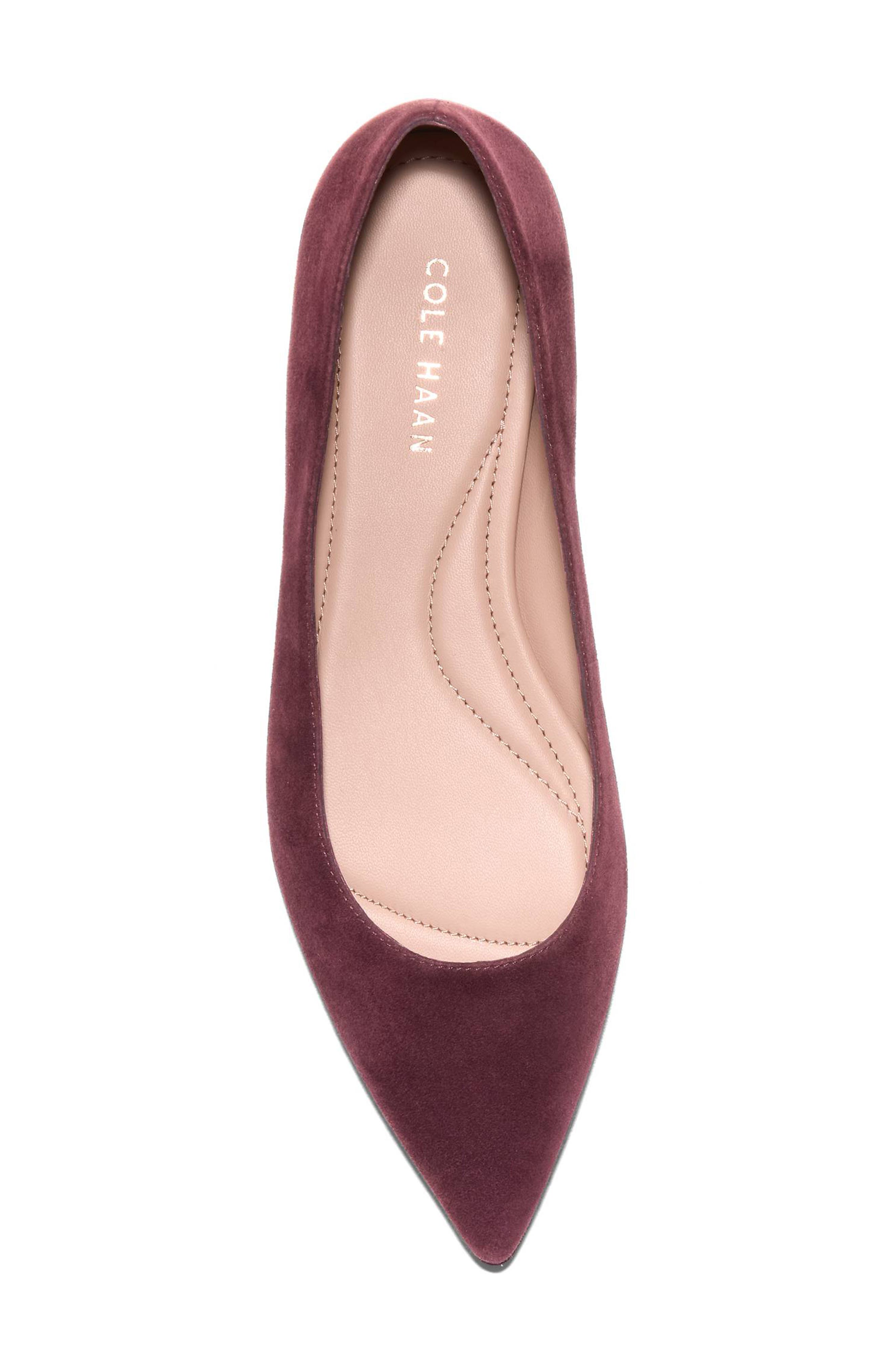 Cole Haan Grand Ambition 2.0 Ballet Flat, Alternate, color, Black Garnet Suede