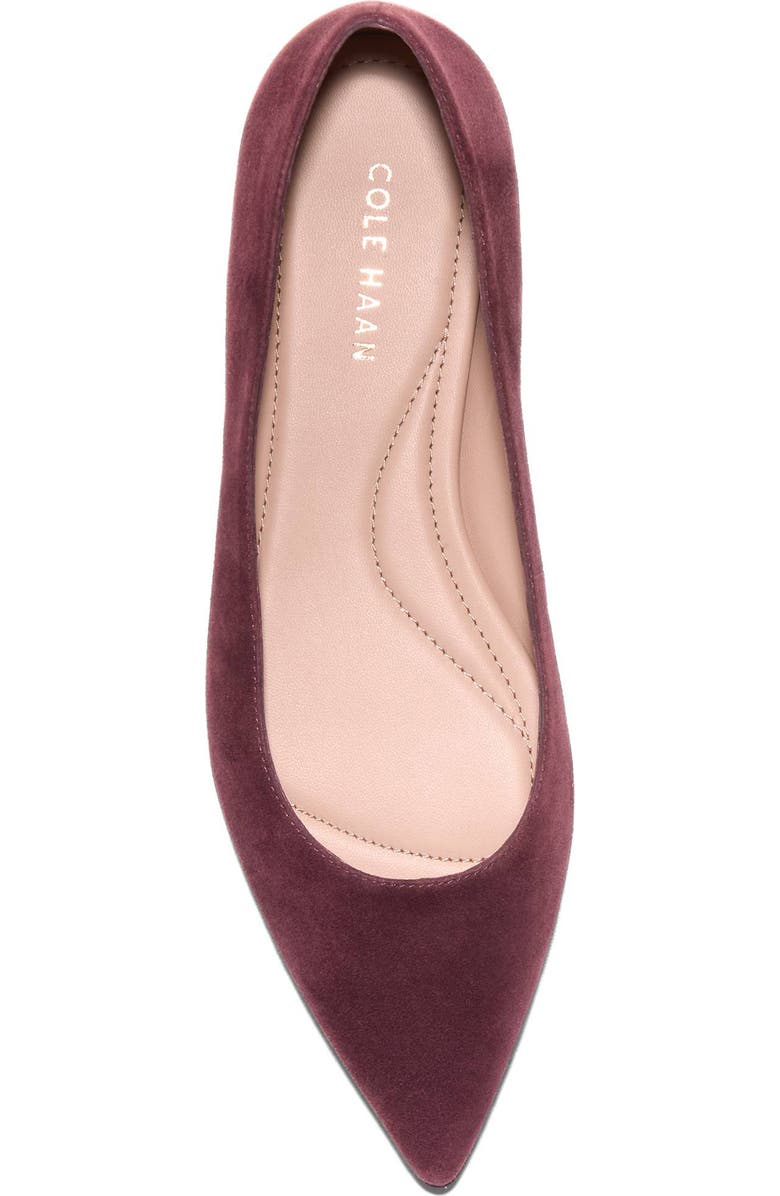 Cole Haan Grand Ambition 2.0 Ballet Flat, Alternate, color, Black Garnet Suede