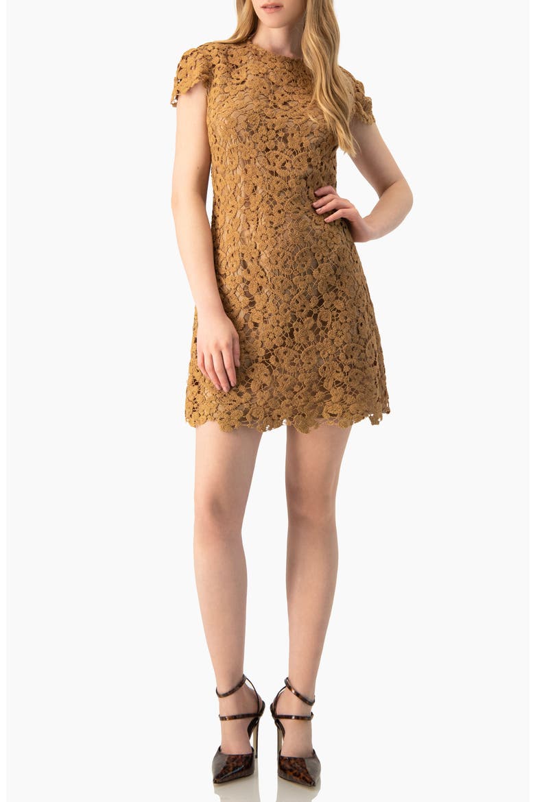 Guipure Lace Cap-Sleeve Shift Dress, Alternate, color, Light Brown