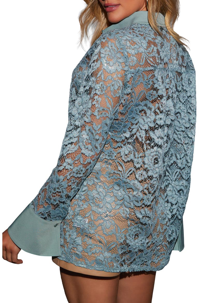 Off the Vine Sheer Lace Shirt, Alternate, color, SEAFOAM