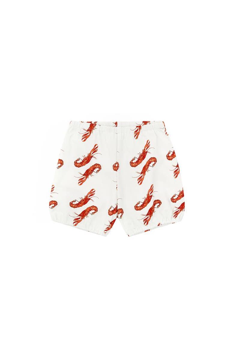 Vild House of Little Vild Lab No.8 - Rare Living Lobsters, Organic Cotton Bloomers, Main, color, Lobster Print