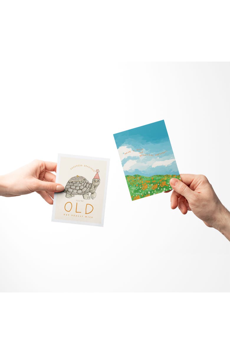 Ramus & Co Birthday Greeting Card Pack Sets (3 ct, Assorted) Old Turtle, Birthday Wishes Tea, Wild Birthday, Alternate, color, Multi-Pack