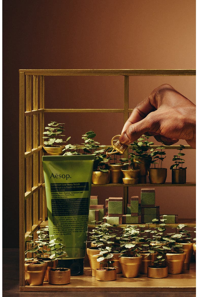 Aesop Geranium Leaf ボディケアセット Aesop Geranium Leaf Trio Set $148 Value (Women) | Nordstrom