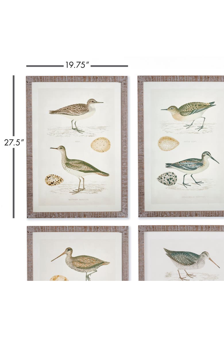 Coastal Birds Study Set of 4, Alternate, color, Green