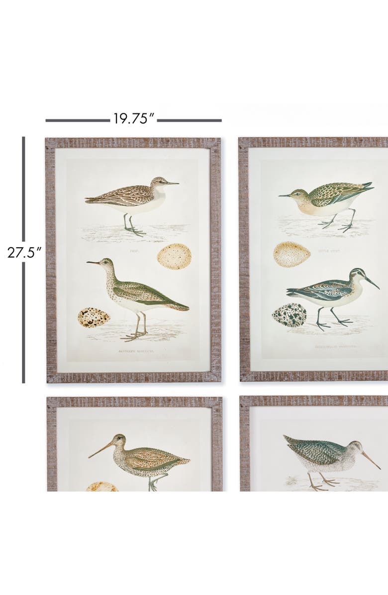 Napa Home & Garden Coastal Birds Study Set of 4, Alternate, color, Green