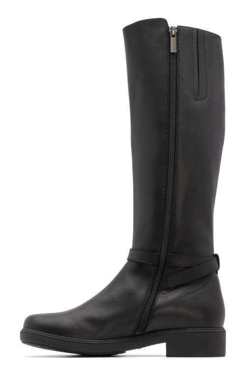 Abeo Compass Tall In Black - Regular