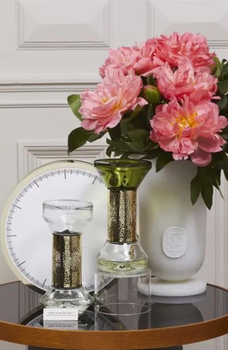 Diptyque Figuier (Fig) Fragrance Hourglass Diffuser Refill, Alternate, color,