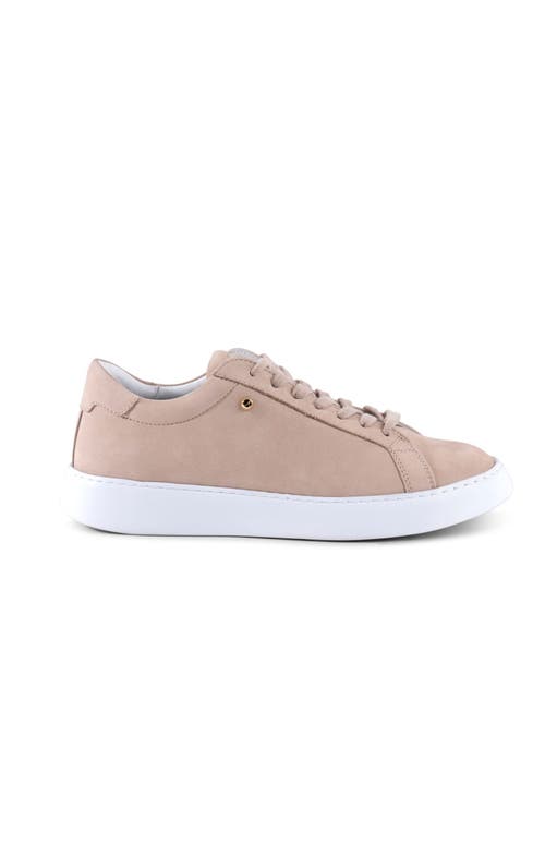 Shop Stinaa.j Stella Orthopedic Sneakers In Beige Nubuck