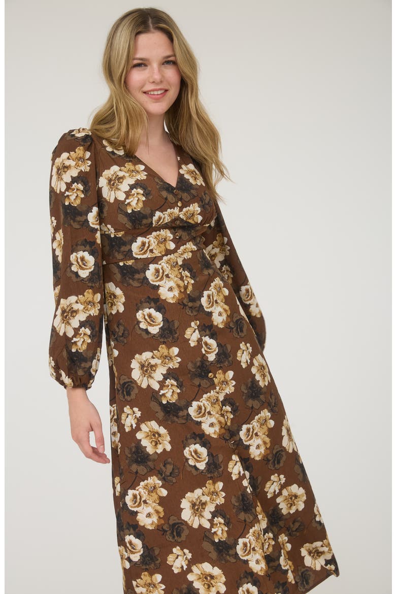Floral Long Sleeve Maxi Dress, Alternate, color, BROWN MULTI