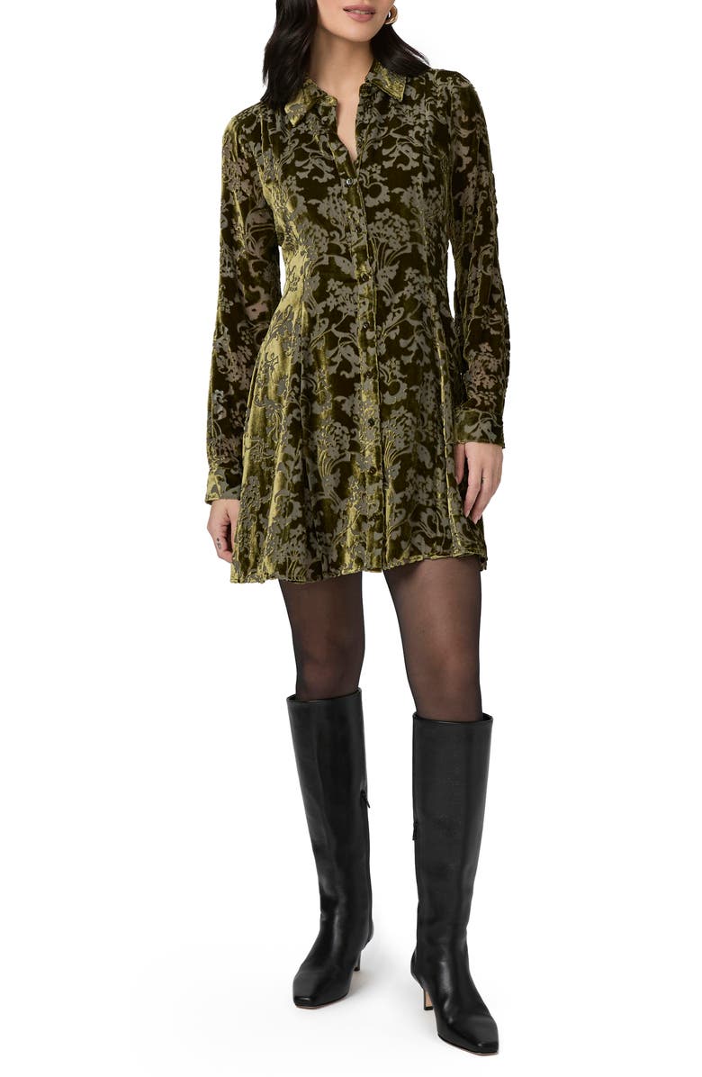 PAIGE Desano Burnout Long Sleeve Shirtdress, Main, color, Spanish Moss