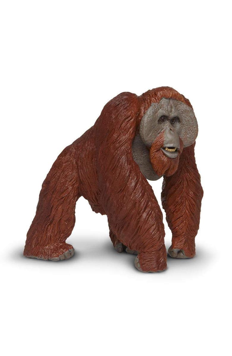 Safari Ltd. Bornean Orangutan Toy, Alternate, color, NO COLOR
