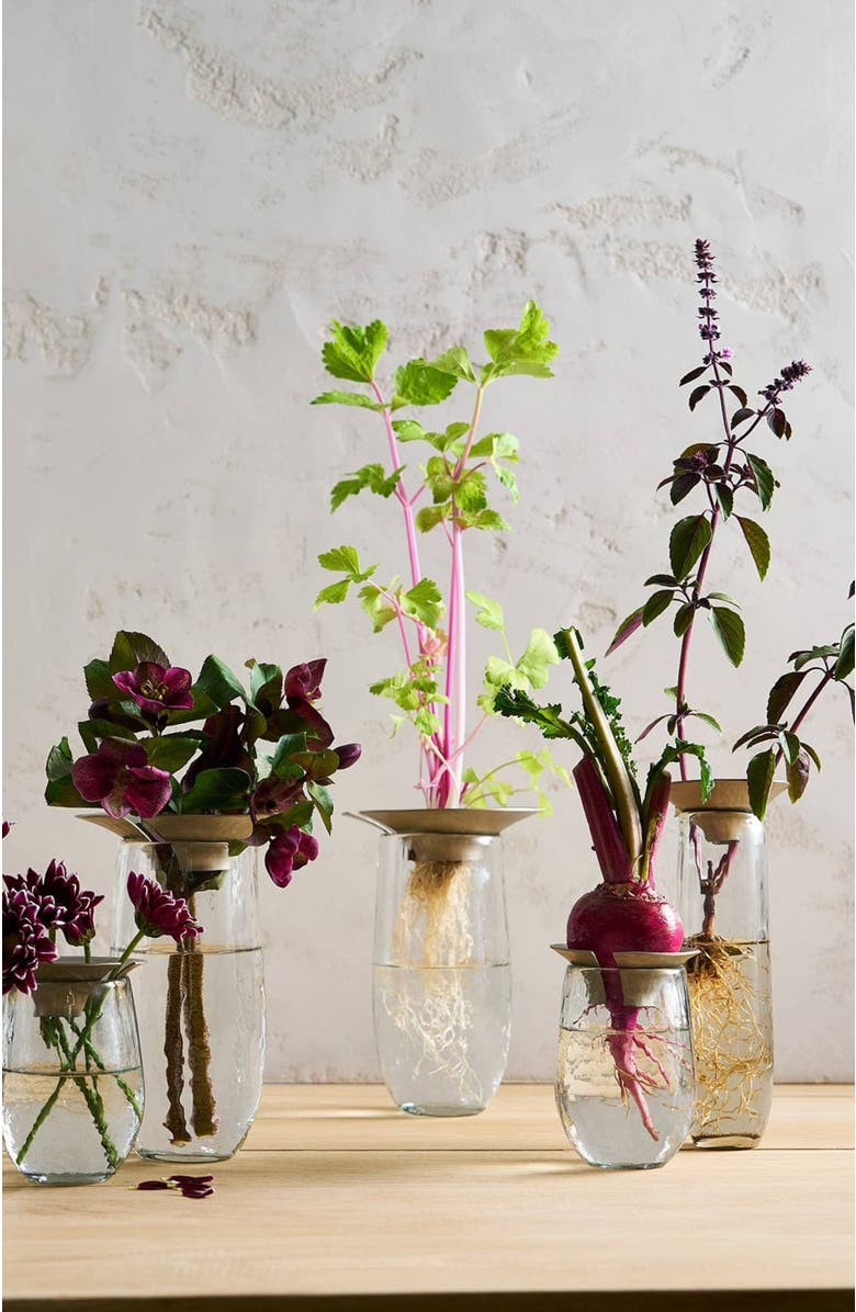 The Collective Floral Propogate Assorted - Set of 3, Alternate, color, Nickel