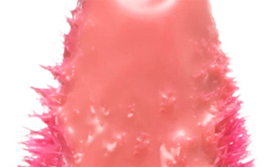 02 CORAL CHEMISTRY