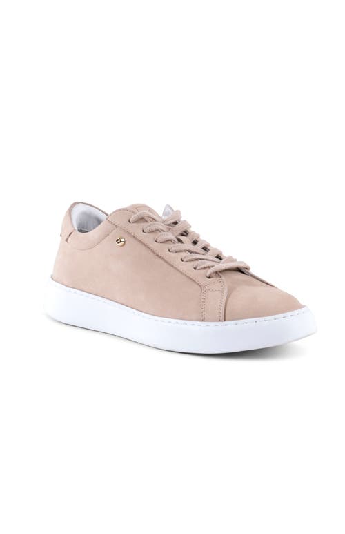 Shop Stinaa.j Stella Orthopedic Sneakers In Beige Nubuck