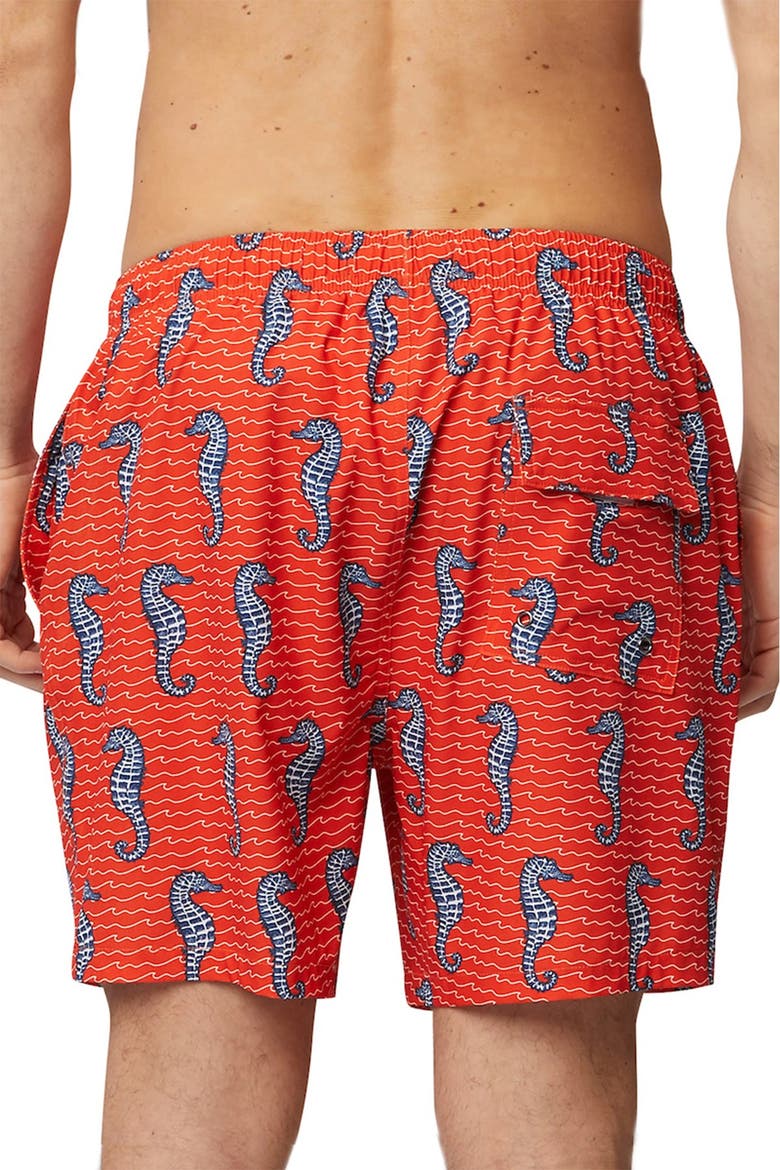 Curled Tails Seahorse Stretch Swim Trunks, Alternate, color, SPICY ORANGE