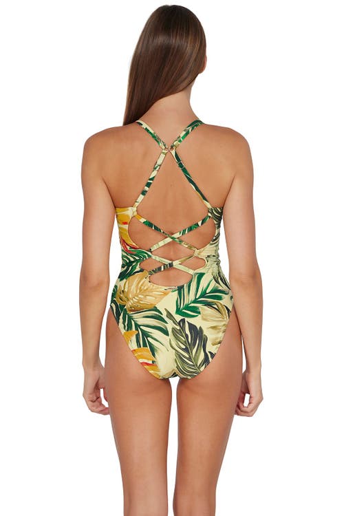 SUNSETS SUNSETS VERONICA ONE PIECE SWIMSUIT